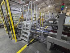 Cotterman Stainless Steel Walkover Bridge Mezzanine
