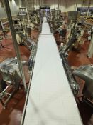 BMI Plastic Modular 5 Lane Conveyor