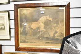 Three 19th-century framed prize horse portrait prints, to include 'A British Yeoman' after Robert