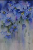 Rachel McNaughton (British Contemporary) watercolour 'Misty Meconopsis' a study of blue flowers,
