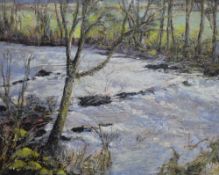 *Local Interest* Jennifer Wheten (British 1941-2021) Acrylic / mixed media on board, a woodland