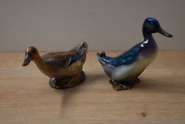 Two Royal Doulton bone china bird studies comprising 'Drake' model number 187 and 'Duck' model