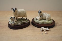 Two Border Fine Arts animal groups 'Black Faced Ewe & Lamb' model number 124 designed by Ray Ayres