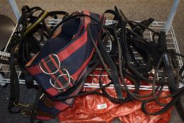 Full size horse tack comprising of a poll training aid, lunge head collar, a cir single,A full