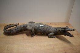 A Taxidermy Caiman Crocodile, Listed CITES APX 11/Annex B and Does Not Require a Licence to Sell