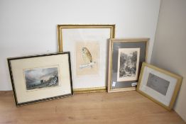 A selection of 20th-century framed prints, to include a sweet short-eared owl; a study of a female