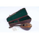 A Napoli bowl back mandolin