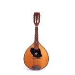 A Romanian style twelve-string mandolin