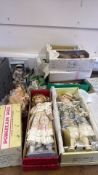 Collection of Porcelain Collector Dolls