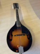 Tanglewood mandolin