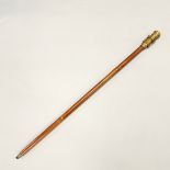 TELESCOPE TOPPED WALKING STICK.