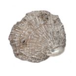 Sarah Jones - A silver shell,
