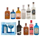 Gin Bin Ends (Gin Ends) - 11 bottles Gin, Spirits