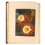 Thornton. Temple of Flora. 1812