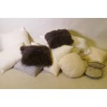 Quantity of new feather filled scatter cushions for covering, largest 66 x 66cm