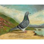 After William Andrew Beer (British 1862-1954): 'Northern Pride' - Study of the Racing Pigeon