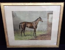 AFTER A.C. HAVELL: 'DONOVAN', A RACE HORSE