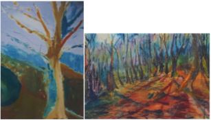 Donna Southern (Eastbourne 1960-2024) - A pair of abstract photographic prints, framed and glazed,