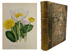 LOUDON, MRS. JANE 1846 BRITISH WILD FLOWERS, FIRST EDITION