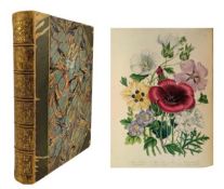 LOUDON, MRS. JANE 1840 THE LADIES' FLOWER GARDEN OF ORNAMENTAL ANNUALS, FIRST ED