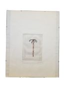 1974 COCA COLA LIMITED EDITION ETCHING PRINT