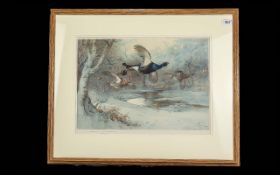 Archibald Thorburn, a fine original impression of large size, depicting grouse in flight in a winter
