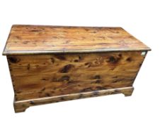A large rectangular cedar trunk, width 138cm, depth 60cm, height 72cm