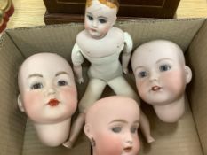Two bisque doll heads based on Kammer & Reinhardt mould 117, one other bisque doll head and a modern