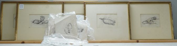 A collection of ink drawings, reptile studies to include a cobra, rattle snake and lizards, five