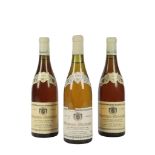 1985 Jean-Noel Gagnard Les Caillerets, Chassagne-Montrachet Premier Cru, France (1)1988 Jean-Noel