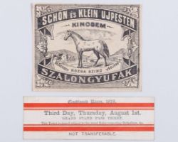 A ticket for Goodwood Races 1st August 1878 the day Kincsem won the Goodwood Cup&nbsp;