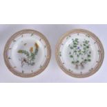 A PAIR OF COPENHAGEN FLORA DANICA PORCELAIN BOWLS. 23.5 cm wide.