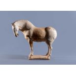 A CHINESE TANG DYNASTY TERRACOTTA HORSE with deep carved mane groove and hole for tail, modelled
