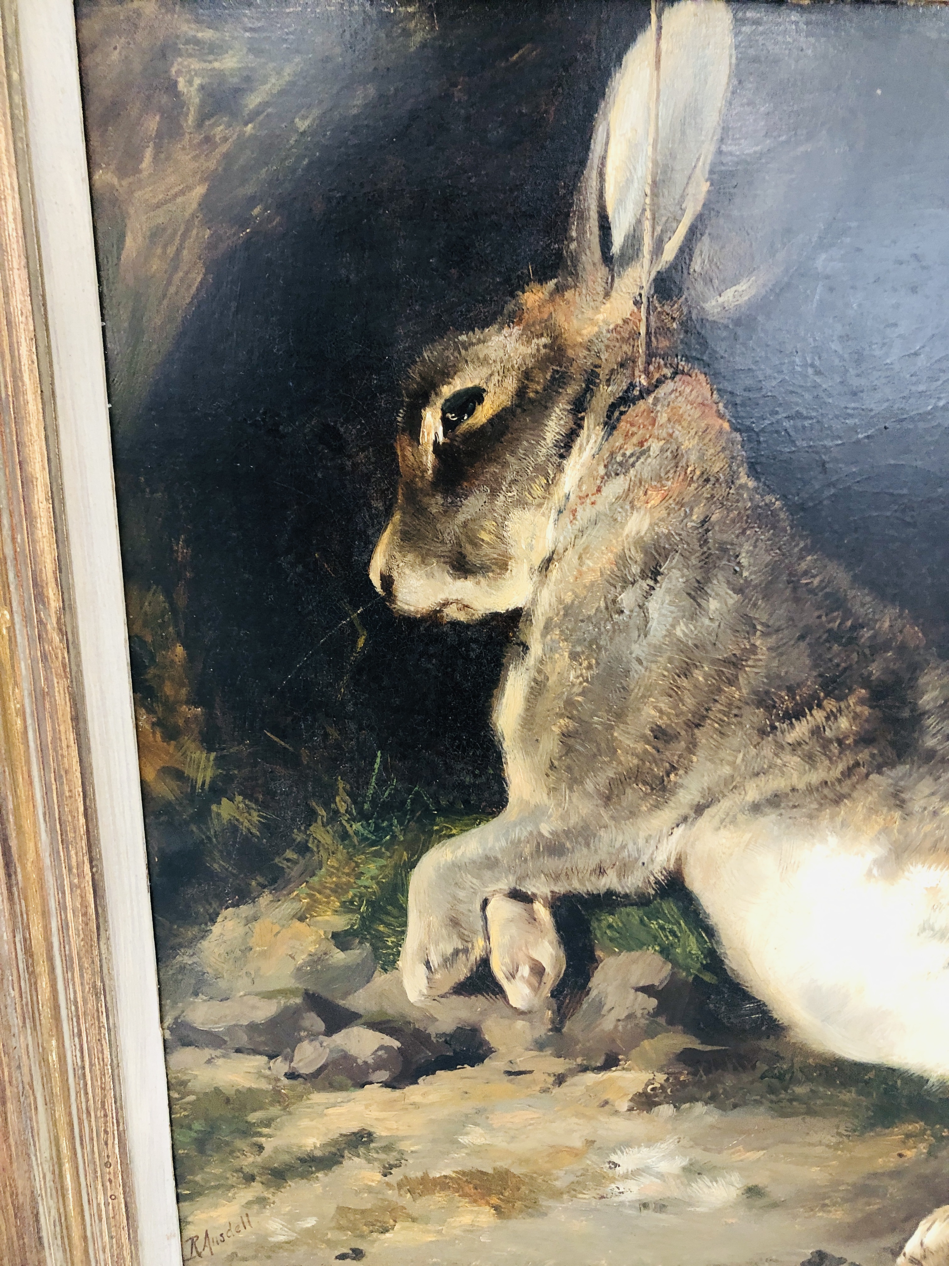 Dead Rabbit In Oil RICHARD ANSDELL