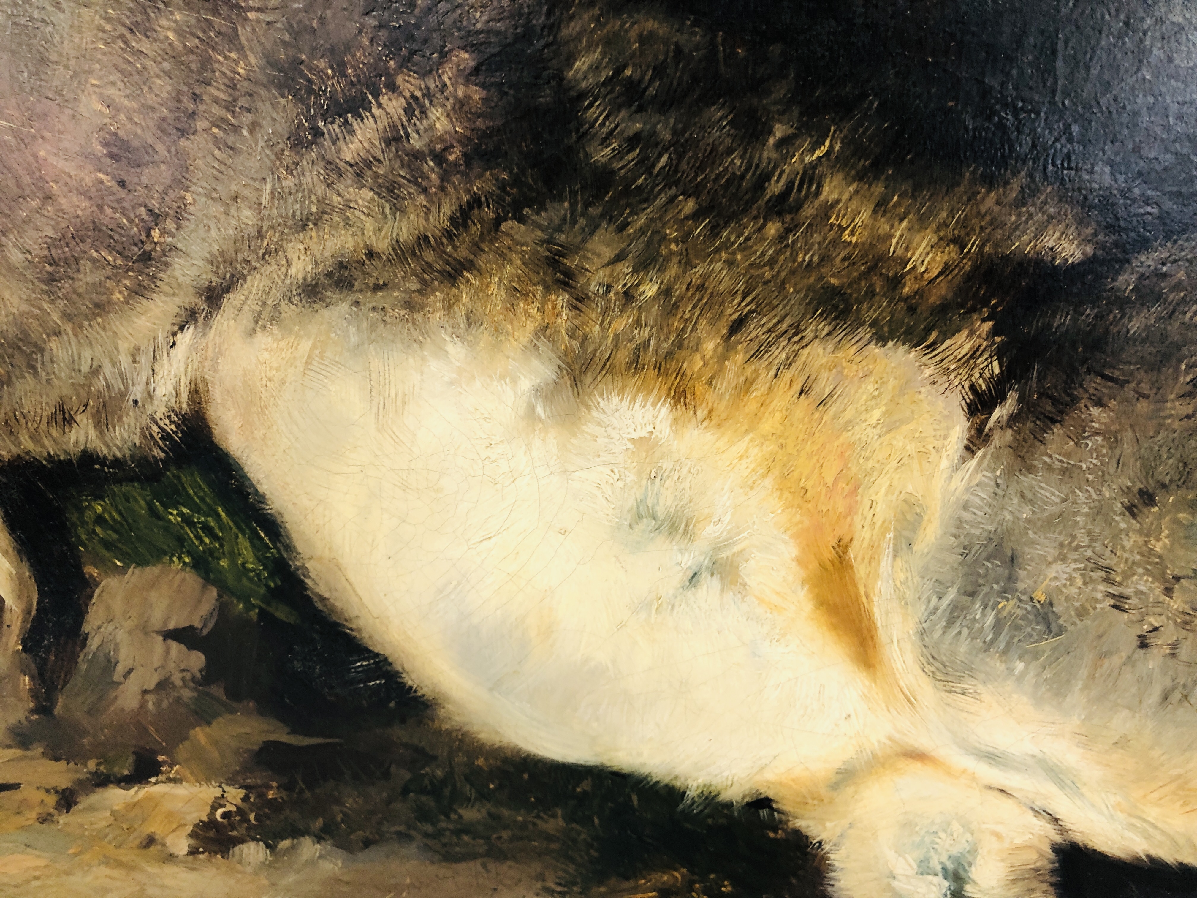 Dead Rabbit In Oil RICHARD ANSDELL