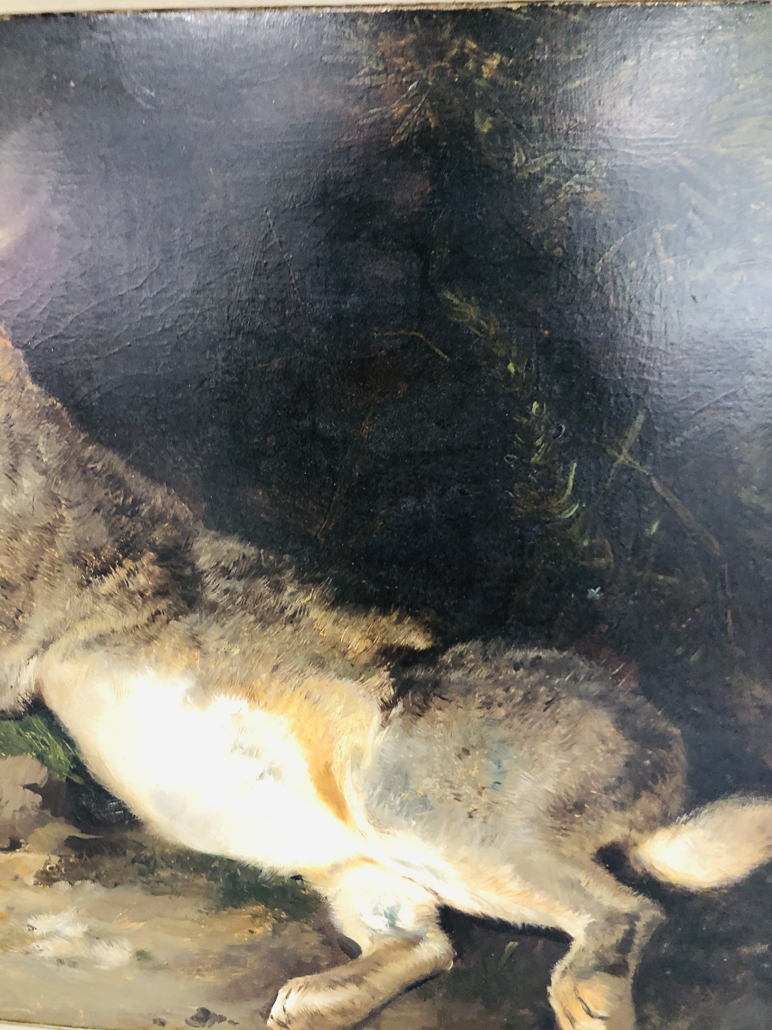 Dead Rabbit In Oil RICHARD ANSDELL