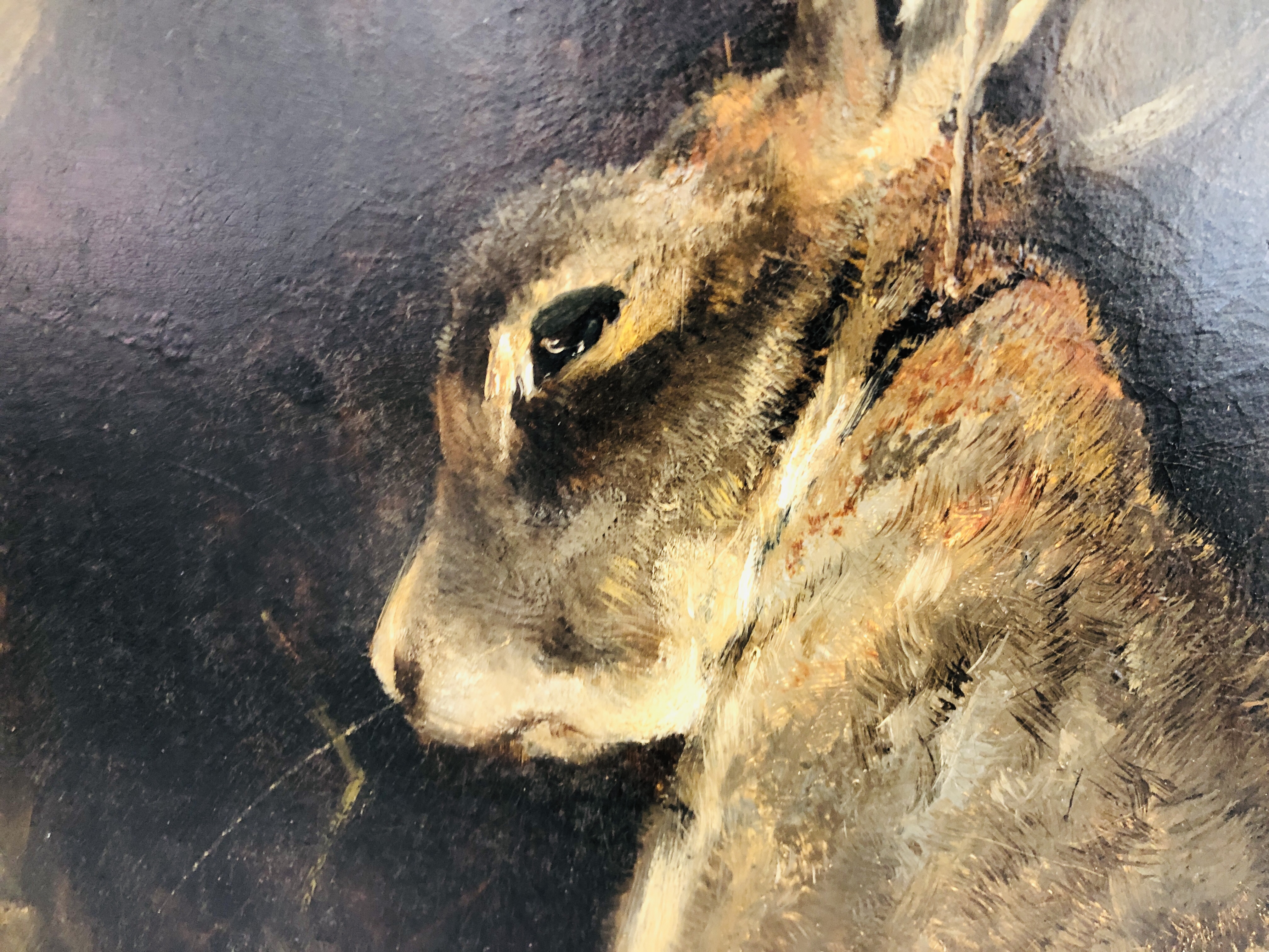 Dead Rabbit In Oil RICHARD ANSDELL
