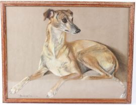 PHYLIS BINET (20TH CENTURY) Whippet or Lurcher 'Pauline' pastel inscribed and dated 11.7.52 37 x
