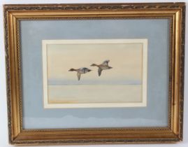 PHILIP RICKMAN (1891-1982) 'Widgeon in Flight' watercolour signed in pencil 16 x 25.5cm