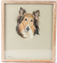 PHYLIS BINET (20TH CENTURY) Collie dog 'Bessie' pastel inscribed and dated 4.4.67 38 x 33cm