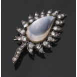 A moonstone and diamond leaf brooch, the pear shape moonstone cabochon, surrounded by rose cut