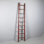 ASIAN LADDER.