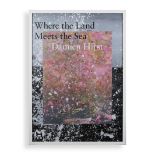 DAMIEN HIRST WHERE THE LAND MEETS THE SEA