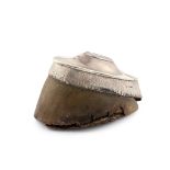 WATERLOO - A VICTORIAN SILVER MOUNTED INKWELL