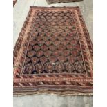 Two middle-eastern carpets, 86in x 55in; 63in x 55in