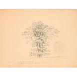 Jane Austen. English School, early 19th century - Elms in Goodnestone Park the Seat of Sir Brook