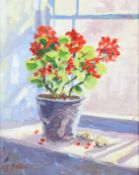 Laurence J Belbin (1958) oil on board, still life of a plant pot.