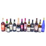 A collection of thirteen assorted bottles of alcohol.