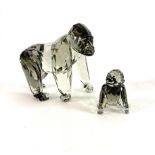Swarovski Crystal Glass, Endangered Wildlife - Gorillas, boxed.