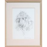 Robert Lenkiewicz (1941-2002), pencil sketch of a black poodle, 'Sam'